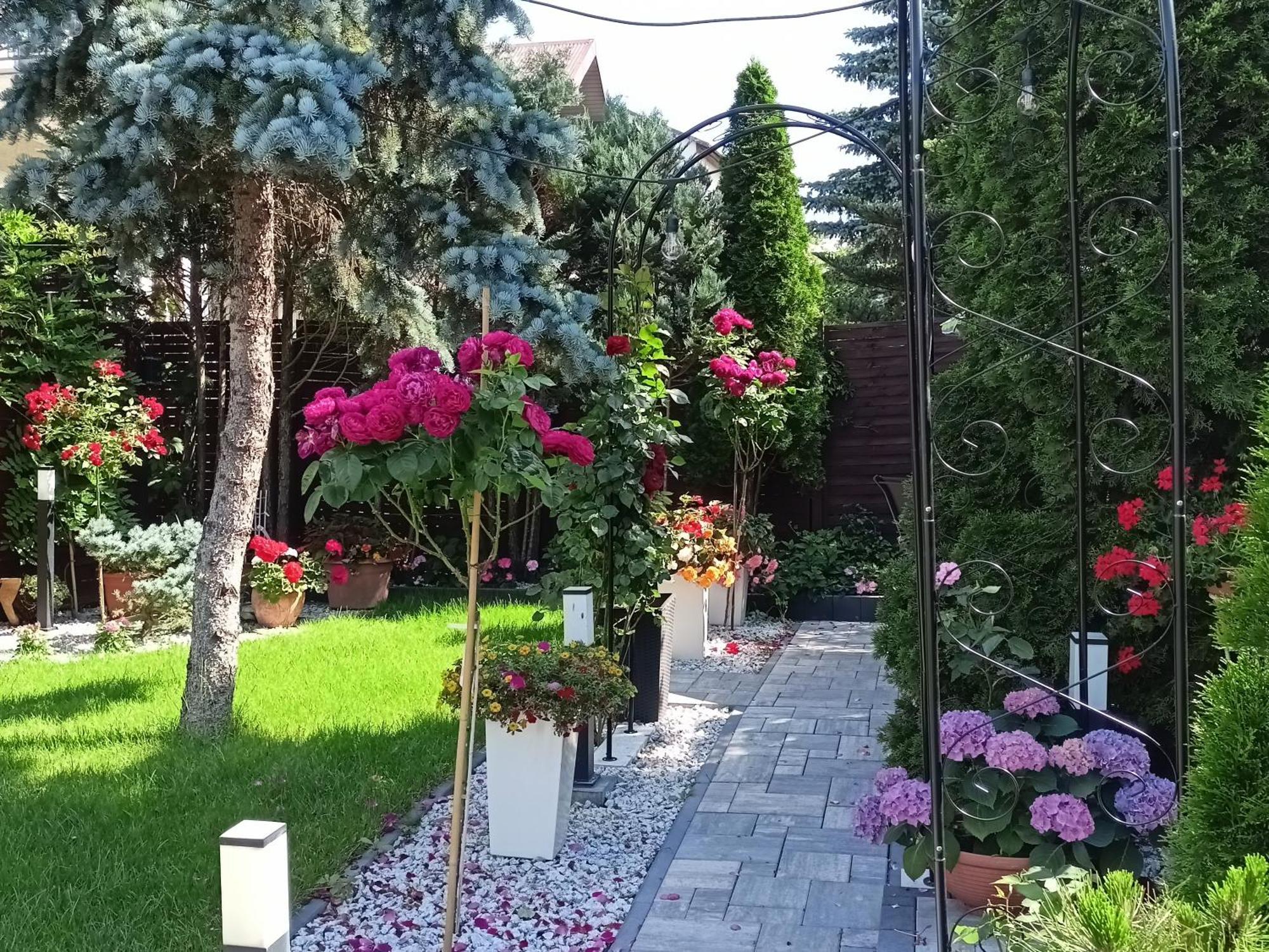 Pokoje Hotelowe Nad Zalewem Siedlce Buitenkant foto
